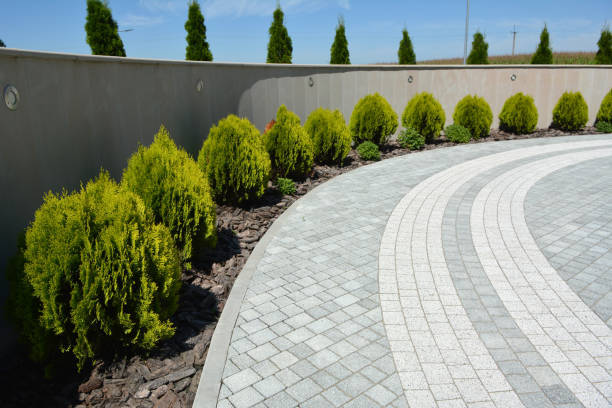 Best Commercial Driveway Pavers  in Fayetteville, NC